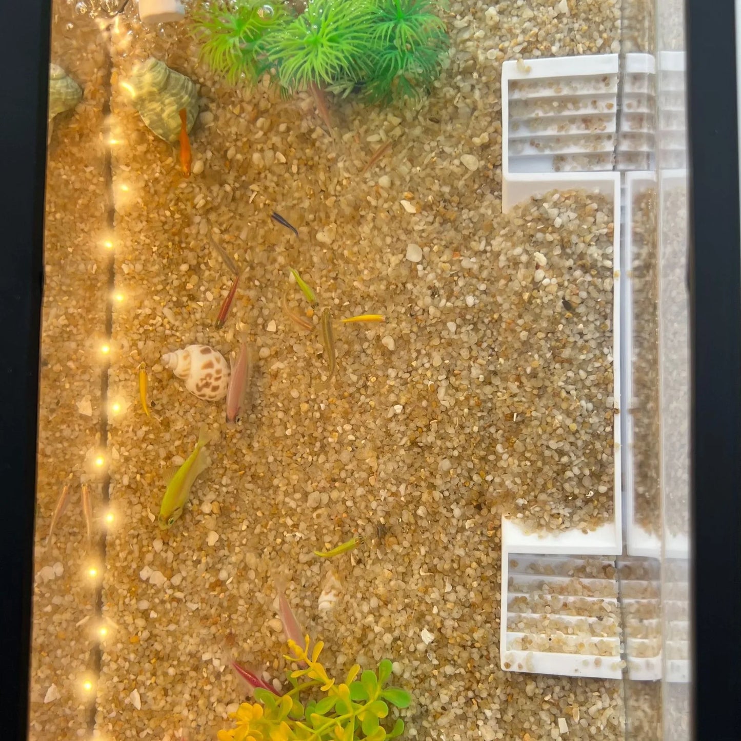Underground Aquarium Tunnel Hideout – Fish & Shrimp Shelter, Buried Corner Cave for Corydoras, Loaches, Plecos & Shrimp Tanks