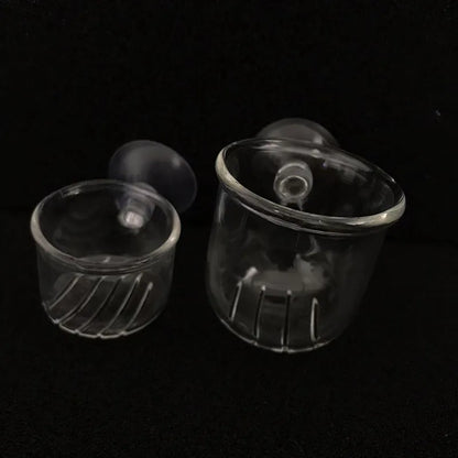 Acrylic Hanging Aquarium Planting and Feeding Cup