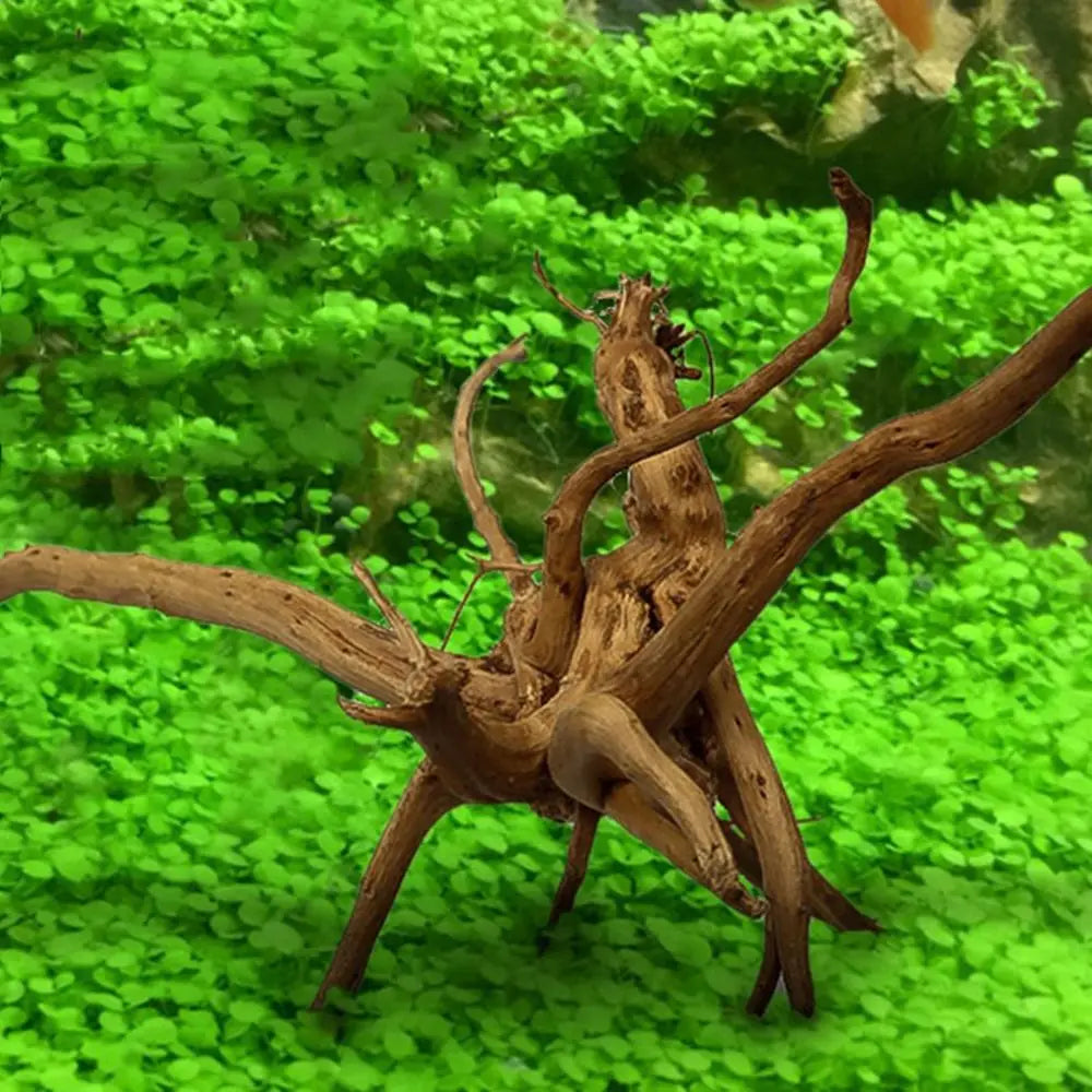 Natural Wood Aquarium Driftwood 8–20cm