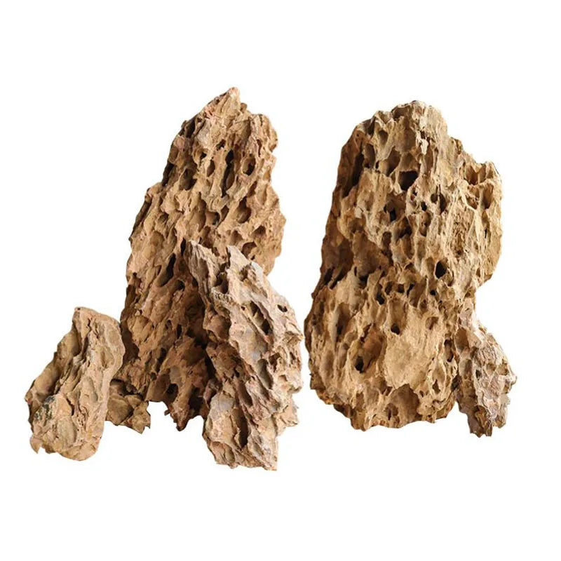 Natural Microporous Aquarium Rock (250g / 500g / 1kg) for Aquascaping and Plant Growth