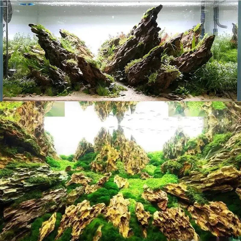 Natural Microporous Aquarium Rock (250g / 500g / 1kg) for Aquascaping and Plant Growth