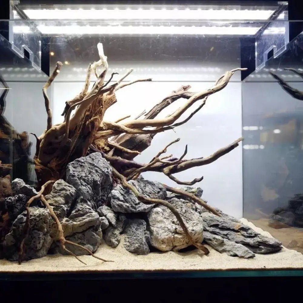 Natural Wood Aquarium Driftwood 8–20cm