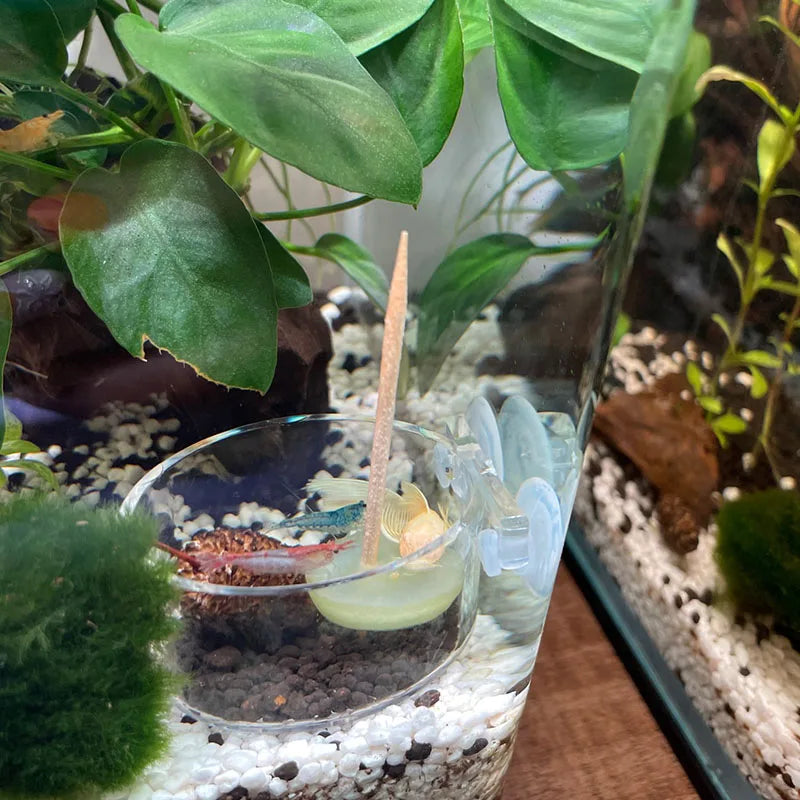 Acrylic Hanging Aquarium Planting and Feeding Cup