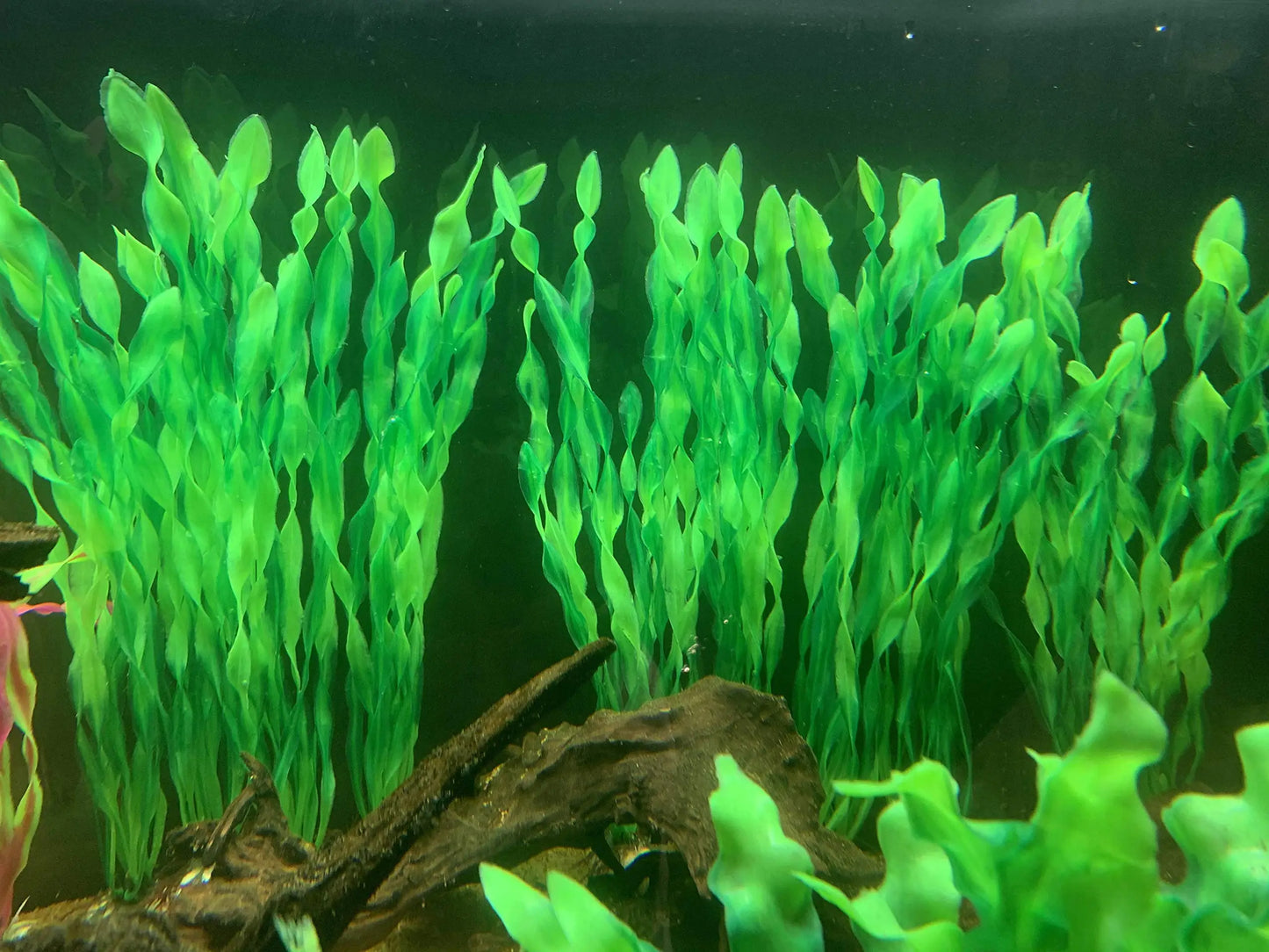 Artificial Aquarium Plants – 5pcs / 10pcs Plastic Aquatic Plants with Ceramic Base for Fish Tank Decoration