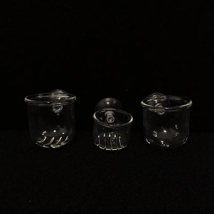 Acrylic Hanging Aquarium Planting and Feeding Cup