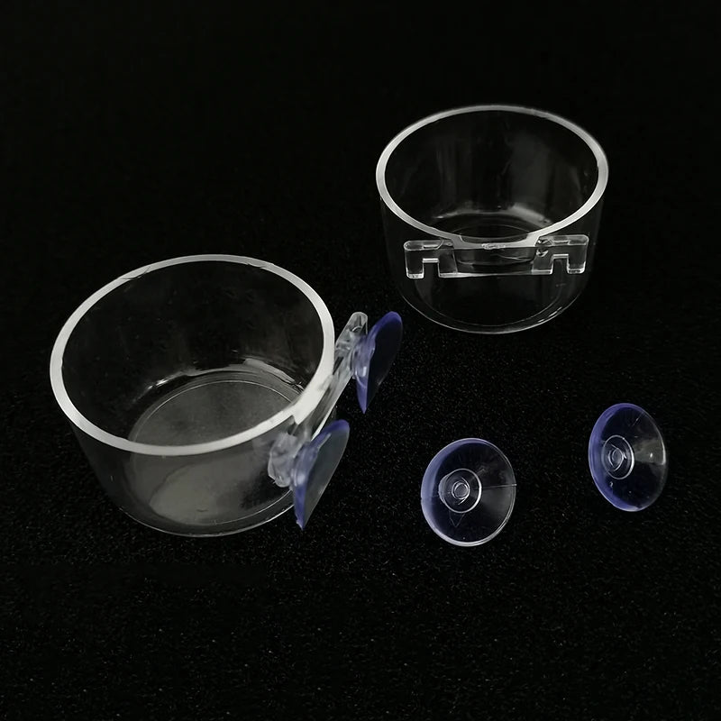Acrylic Hanging Aquarium Planting and Feeding Cup