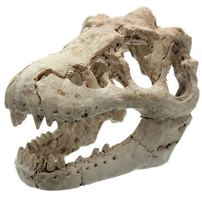 Resin Crocodile Skull Aquarium Decoration — Mini Dinosaur Fossil Ornament for Fish Tanks & Terrariums
