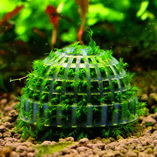 Plastic Moss Planting Dome – Semi-Sphere Aquascaping Filter Ball for Shrimp & Fish Tank Decoration