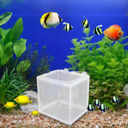 Aquarium Fish Breeder Box with Mesh Isolation and Suction Cup Mount