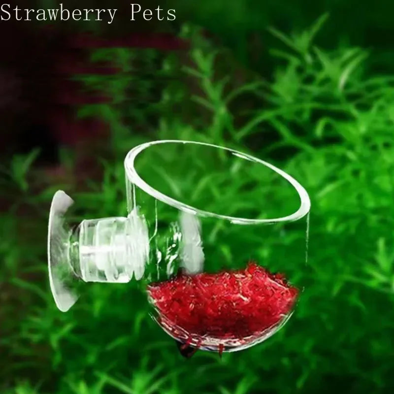 Acrylic Hanging Aquarium Planting and Feeding Cup