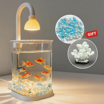 Small Tabletop Aquarium Starter Kit with Light - Small