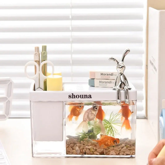 Small Tabletop Fish Tank with Cover