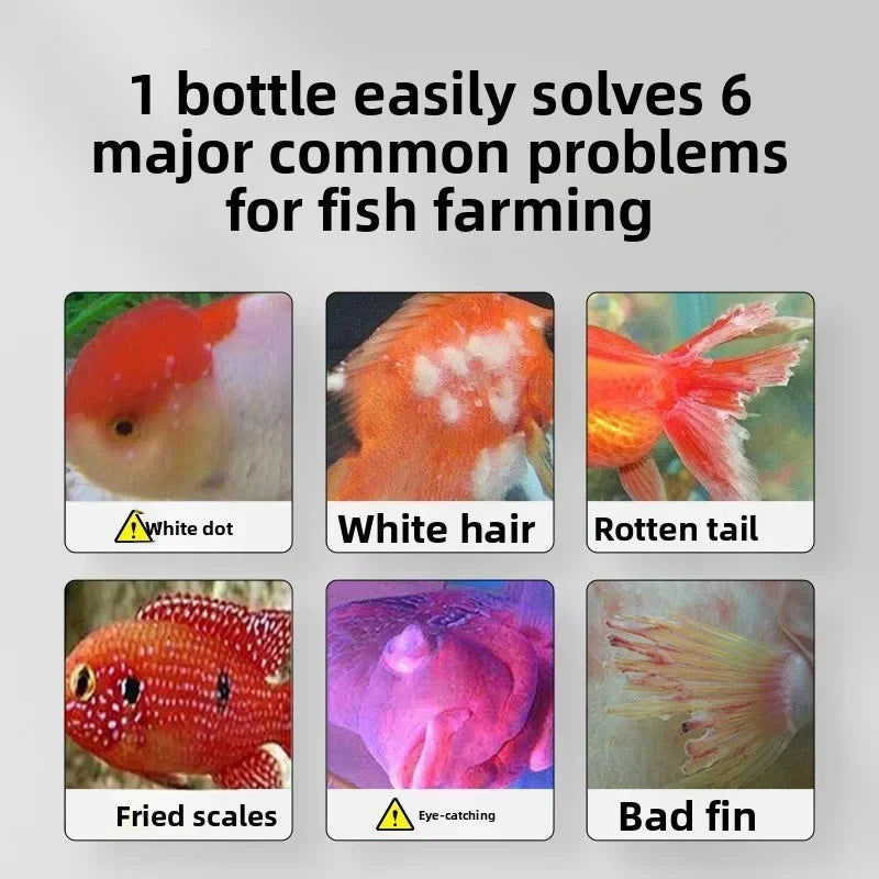 Aquarium Water Clarifier + Methylene Blue Treatment Kit | 2-in-1 Tank Care for Clear Water, Disinfection & Healthy Fish (Fresh & Saltwater)