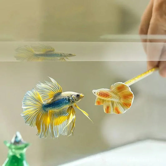 Resin Fighting Fish Training Stick – Interactive Betta Tail Exercise Ornament