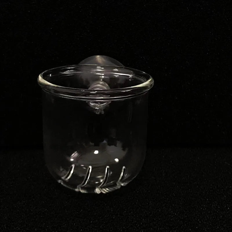 Acrylic Hanging Aquarium Planting and Feeding Cup