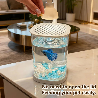 Small Tabletop Aquarium Starter Kit with Light - Small