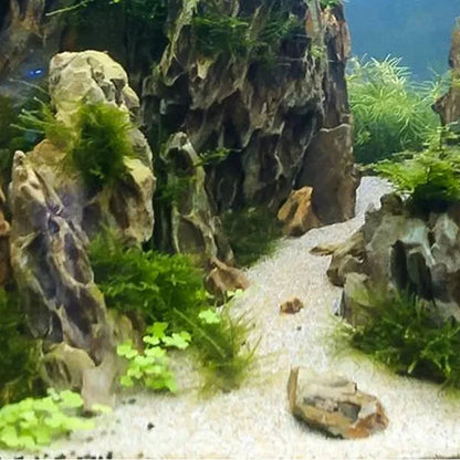 Natural Microporous Aquarium Stones – Decorative Rockery Stones for Aquascaping and Plant Growth (250g / 500g / 1000g)