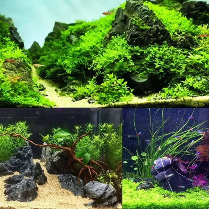 Natural Aquarium Rockery Stones – 100g / 250g / 500g Grey Stone Landscaping Decor for Fish Tanks & Aquascaping