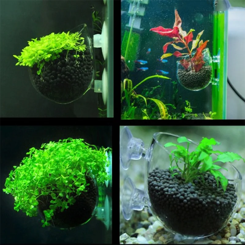 Acrylic Hanging Aquarium Planting and Feeding Cup