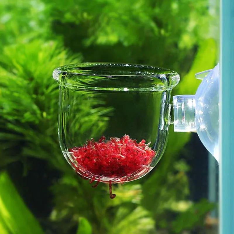 Acrylic Hanging Aquarium Planting and Feeding Cup