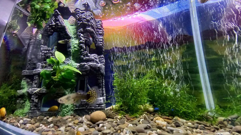 Aquarium Air Stone Bubble Bar – 4 to 16 Inch Oxygen Diffuser (1pc or 2pcs)