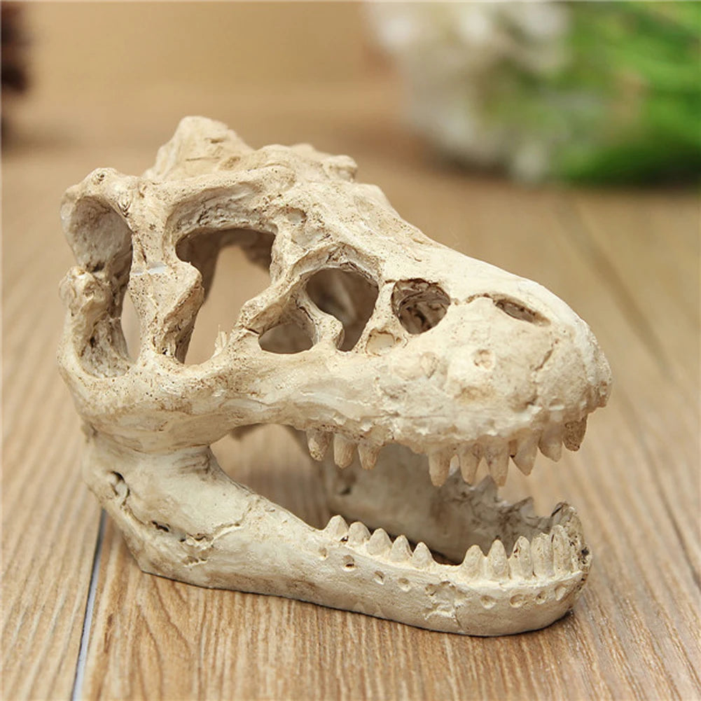 Resin Crocodile Skull Aquarium Decoration — Mini Dinosaur Fossil Ornament for Fish Tanks & Terrariums