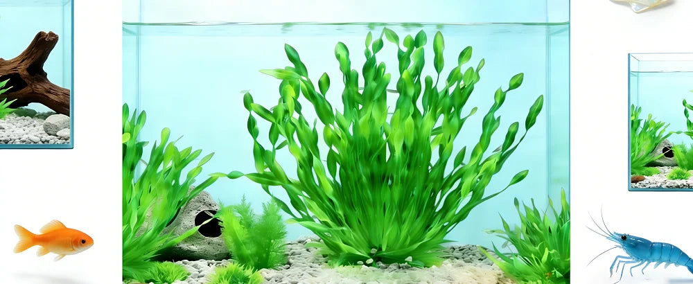 Artificial Aquarium Plants – 5pcs / 10pcs Plastic Aquatic Plants with Ceramic Base for Fish Tank Decoration