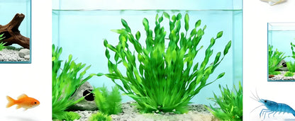 Artificial Aquarium Plants – 5pcs / 10pcs Plastic Aquatic Plants with Ceramic Base for Fish Tank Decoration