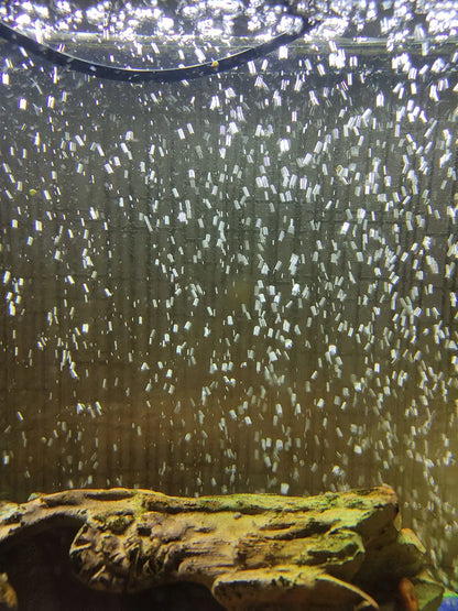 Aquarium Air Stone Bubble Bar – 4 to 16 Inch Oxygen Diffuser (1pc or 2pcs)