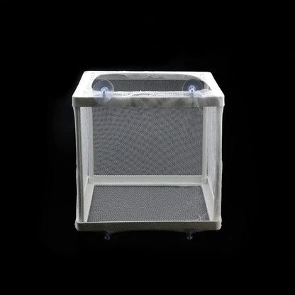 Aquarium Fish Breeder Box with Mesh Isolation and Suction Cup Mount
