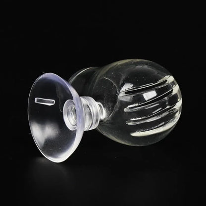 Acrylic Hanging Aquarium Planting and Feeding Cup