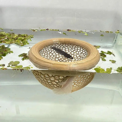 Floating Betta Cave & Shrimp Hideout – 3-in-1 Hammock, Feeding Ring & Resting Spot for Small Aquatic Pets