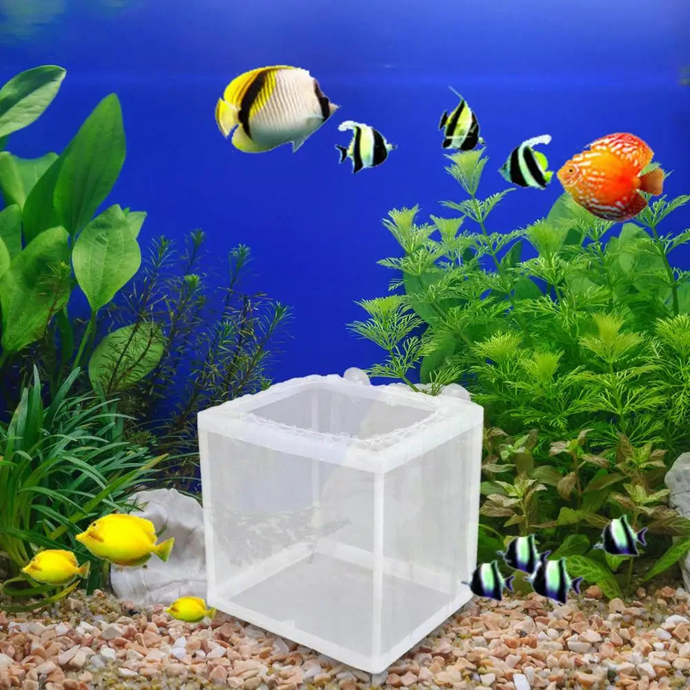 Aquarium Fish Breeder Box with Mesh Isolation and Suction Cup Mount