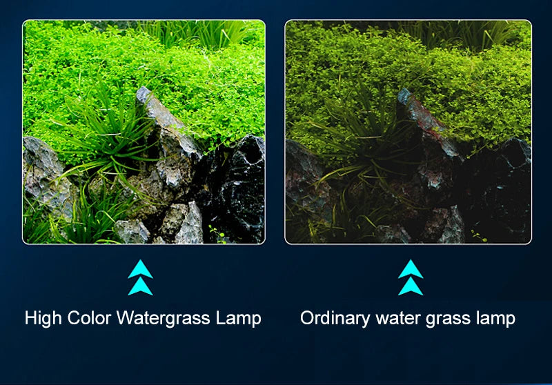 Super Bright Clip-On LED Aquarium Light — Full Spectrum Plant Grow Lamp with 5730 LEDs | 4W / 8W / 13W | 220–240V