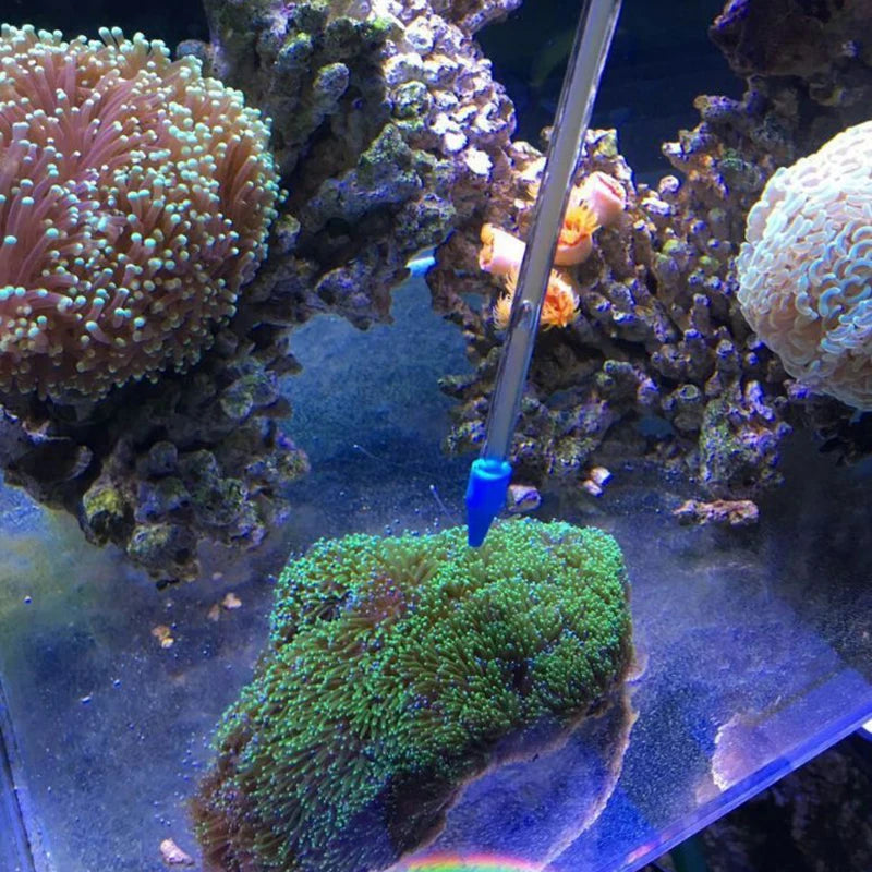 25cm–45cm Acrylic Coral Feeder Tube for Marine Aquariums