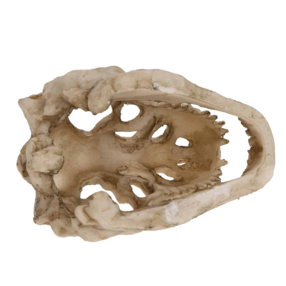 Resin Crocodile Skull Aquarium Decoration — Mini Dinosaur Fossil Ornament for Fish Tanks & Terrariums