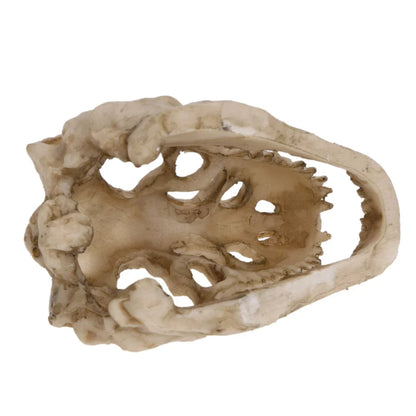 Resin Crocodile Skull Aquarium Decoration — Mini Dinosaur Fossil Ornament for Fish Tanks & Terrariums