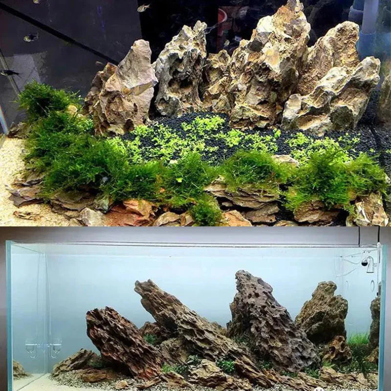 Natural Microporous Aquarium Rock (250g / 500g / 1kg) for Aquascaping and Plant Growth