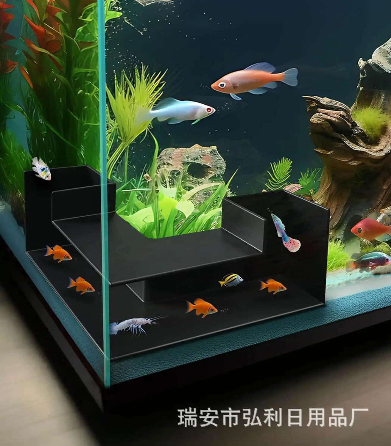 Underground Aquarium Tunnel Hideout – Fish & Shrimp Shelter, Buried Corner Cave for Corydoras, Loaches, Plecos & Shrimp Tanks