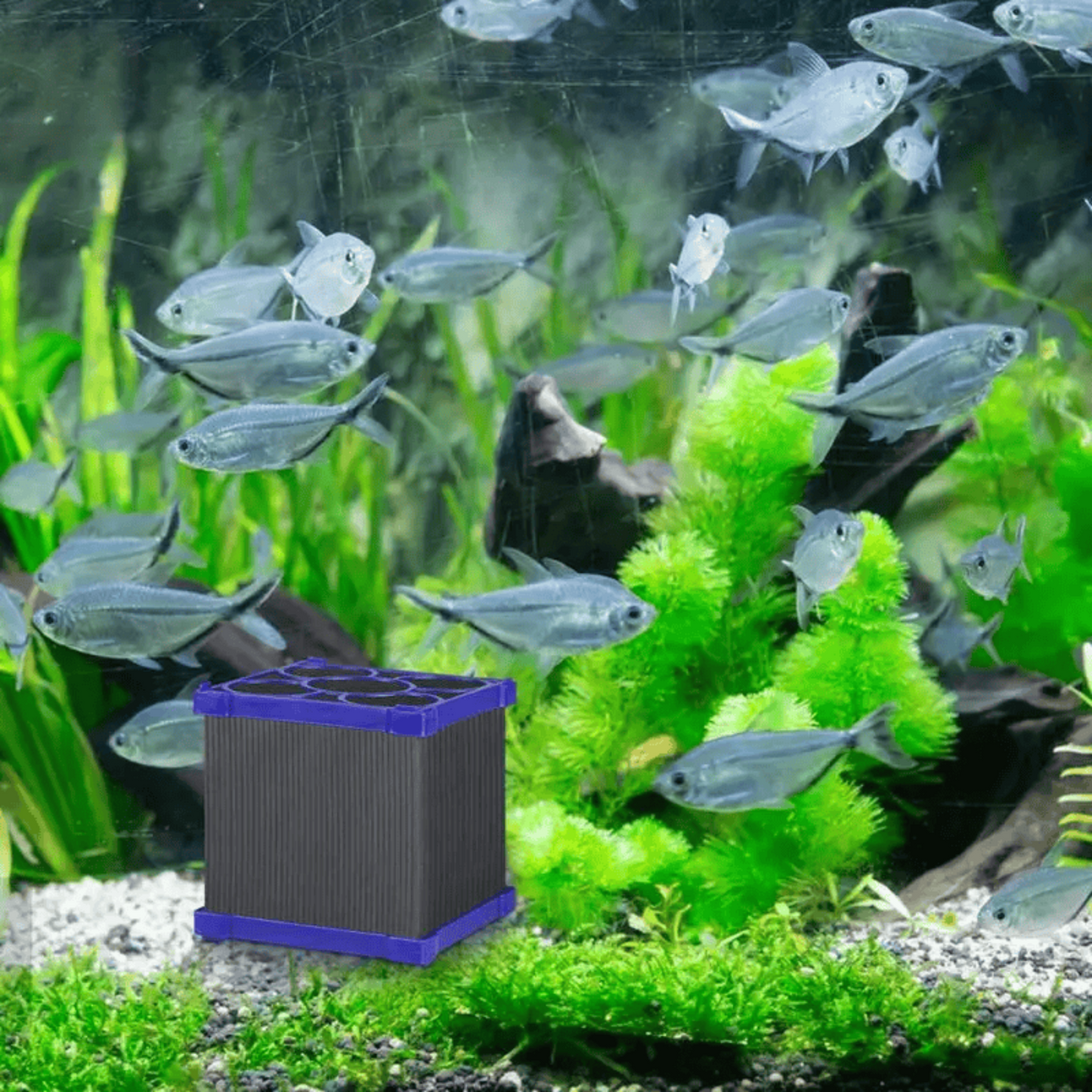 Cube Aquarium Filter with Activated Carbon for Strong Filtration and Absorption, Ideal for Fish Tanks, Water Tanks, and Aquarium Ponds