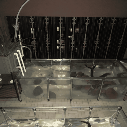 1100 Gallon Clear Sides Koi Tank – Large Aquarium for Aquaculture (118.1in × 78.7in × 27.6in)