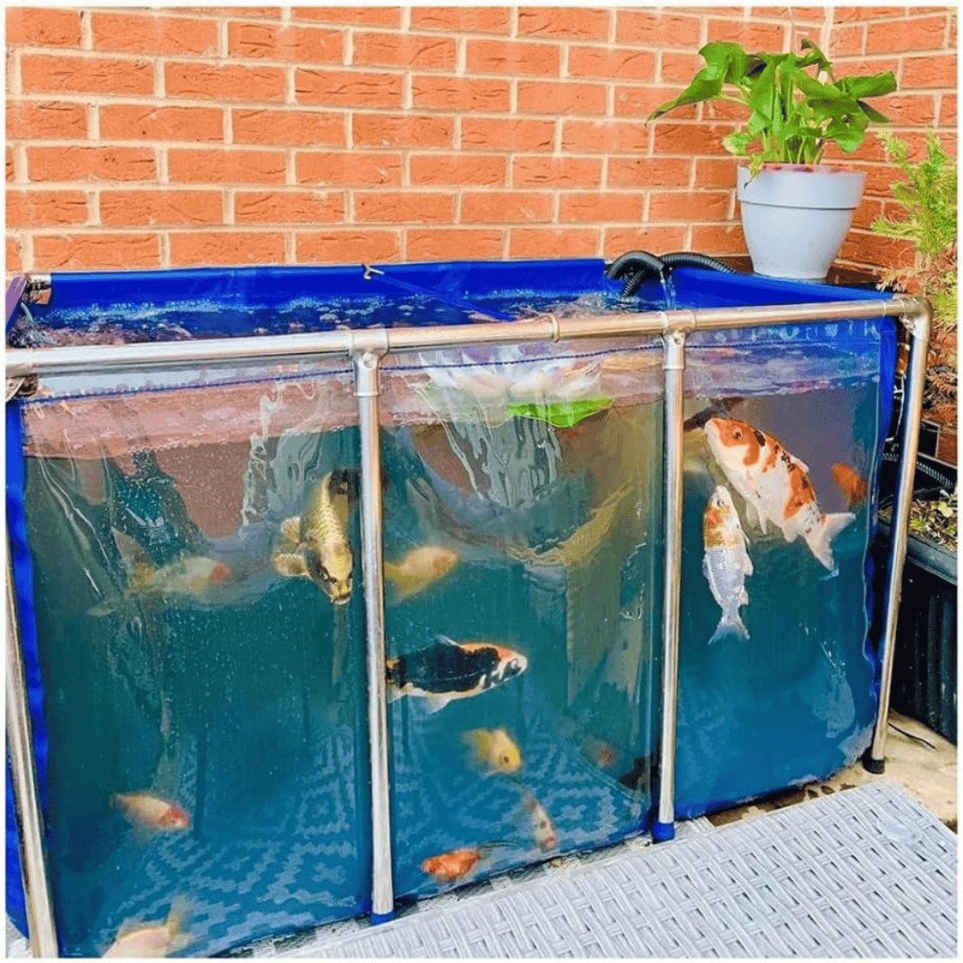 75 Gallon Heavy-Duty Fish Breeding Tank – Large Aquarium for Aquaculture (39.4in × 31.5in × 13.8in)