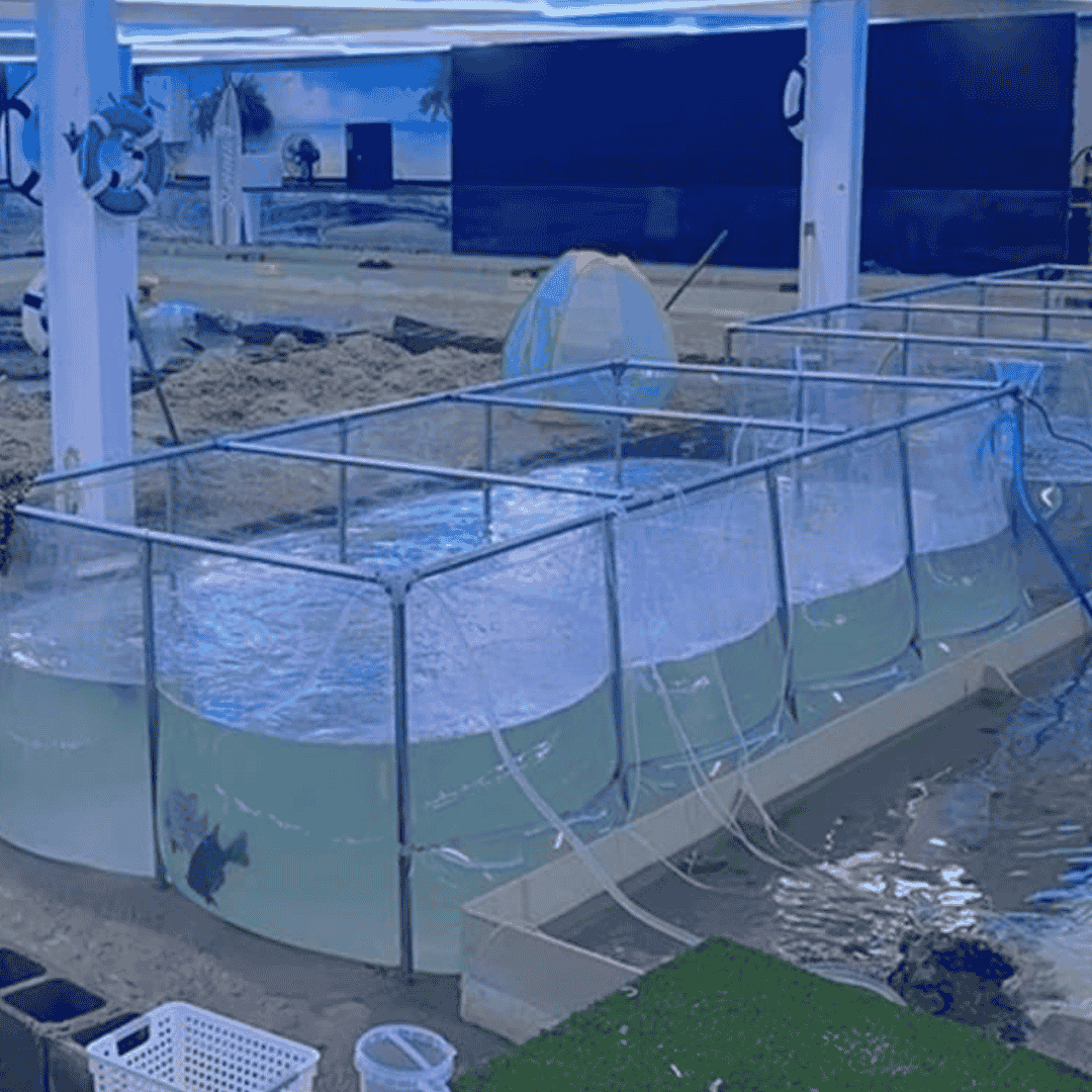 2000 Gallon Clear Sides Koi Tank – Large Aquarium for Aquaculture (196.9in × 86.6in × 27.6in)