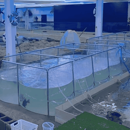 2000 Gallon Clear Sides Koi Tank – Large Aquarium for Aquaculture (196.9in × 86.6in × 27.6in)