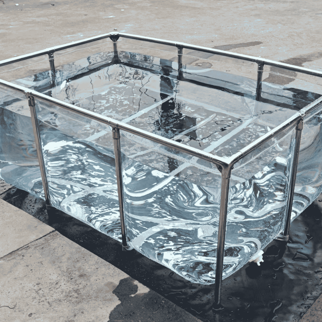 320 Gallon Clear Sides Koi Tank – Large Aquarium for Aquaculture (78.7in × 39.4in × 23.6in)