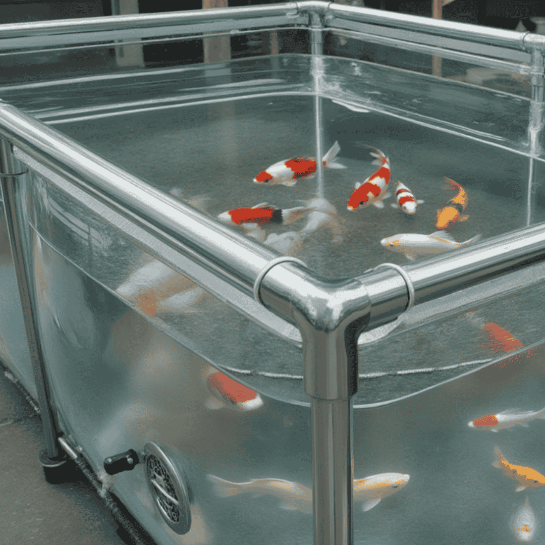 500 Gallon Clear Sides Koi Tank – Large Aquarium for Aquaculture (78.7in × 59.1in × 23.6in)