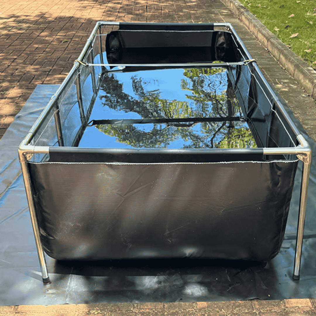 160 Gallon Heavy-Duty Fish Breeding Tank – Large Aquarium for Aquaculture (59.1in × 25.6in × 23.6in)