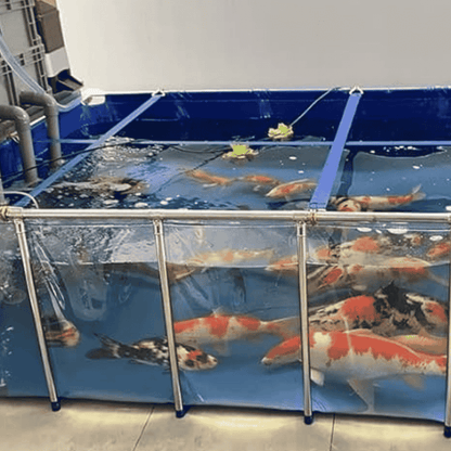 2000 Gallon Heavy-Duty Fish Breeding Tank – Large Aquarium for Aquaculture (196.9in × 86.6in × 27.6in)