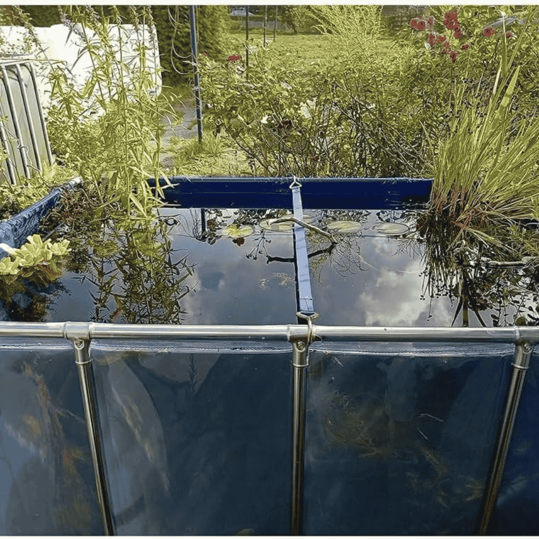 500 Gallon Heavy-Duty Fish Breeding Tank – Large Aquarium for Aquaculture (78.7in × 59.1in × 23.6in)