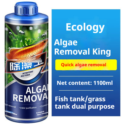 Ecological Algaecide for Aquariums